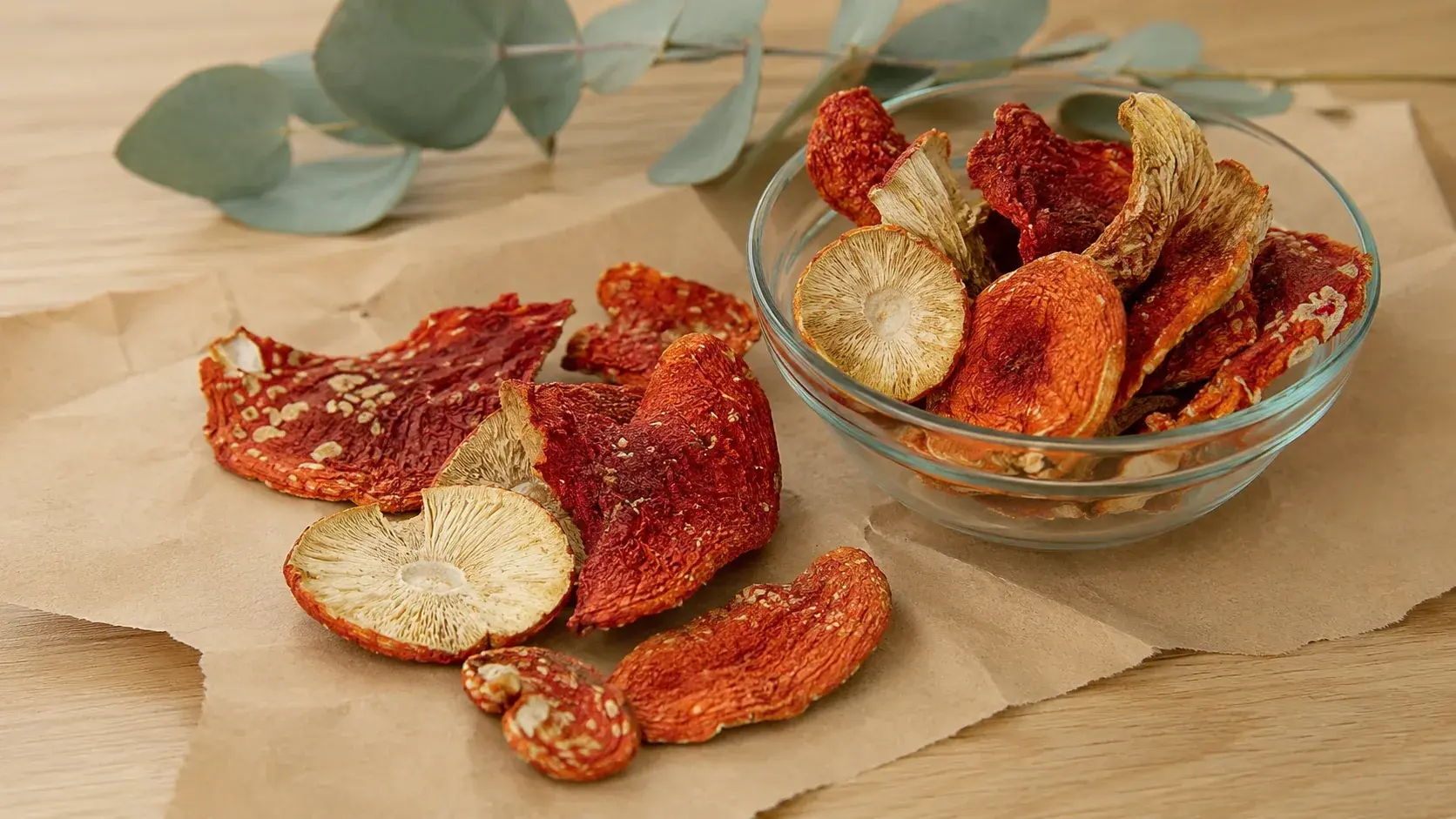 Amanita muscaria Grades Explained: What A, B and Premium Actually Mean article cover