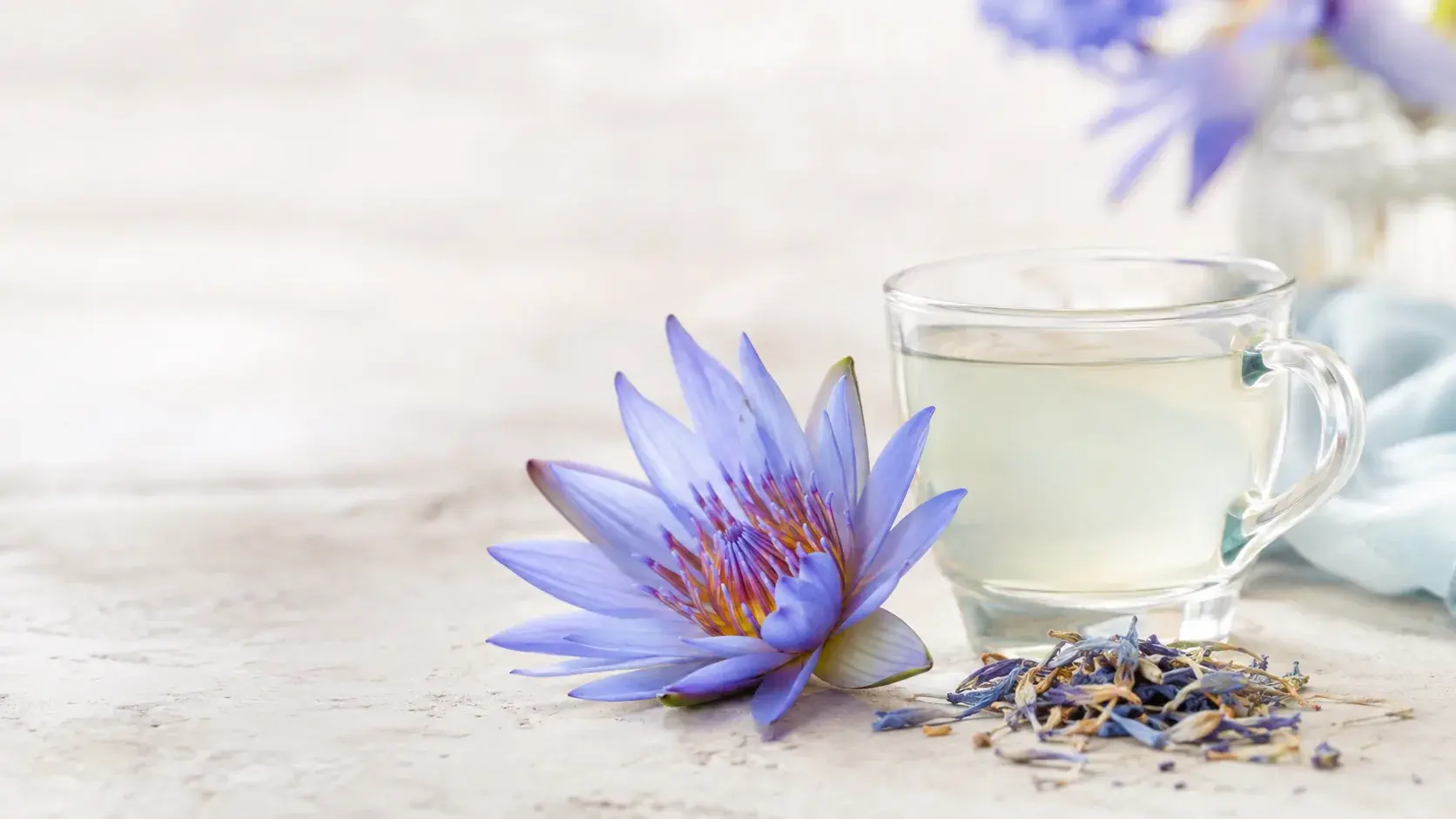 Blue Lotus Dosage Guide: How Much, and Why Nobody Knows article cover