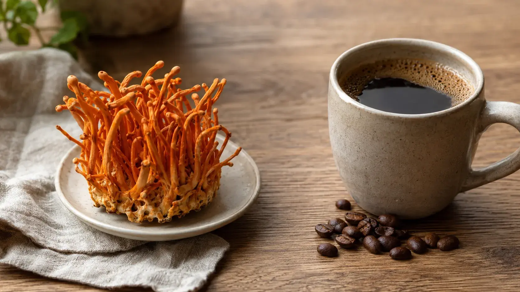Cordyceps vs Caffeine for Energy: What the Trials Measured article cover