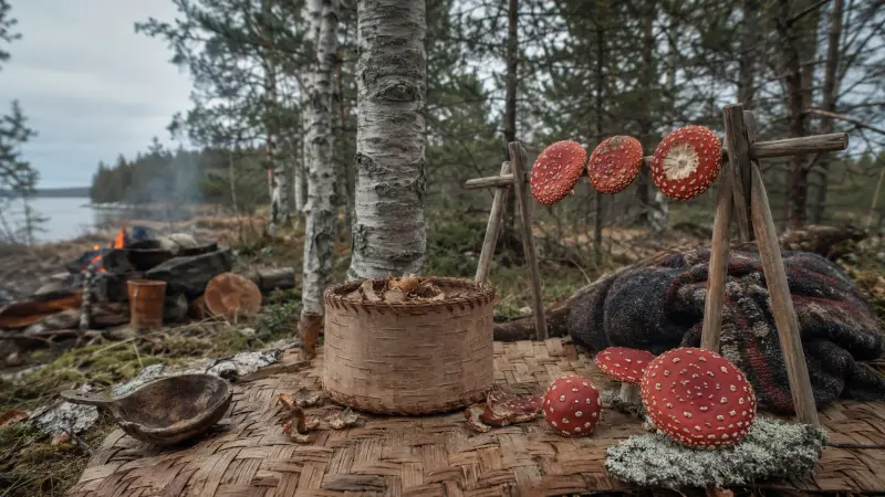 Fly-agaric in folk medicine: traditions of different peoples article cover