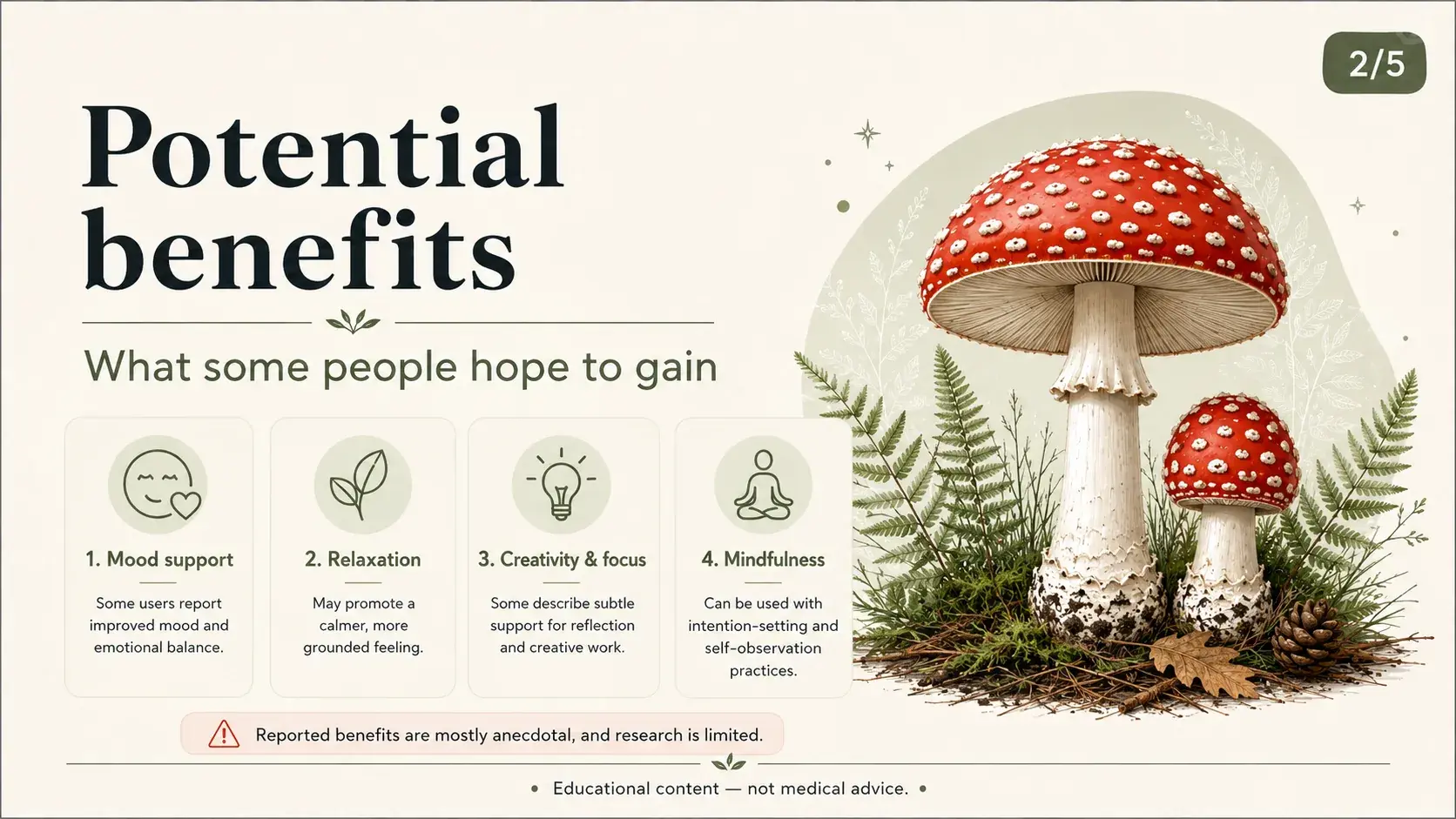 Fly agaric microdosing: benefits and risks article cover