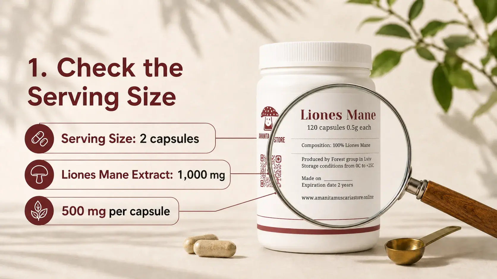 How to Read a Lion's Mane Label: The Numbers That Matter article cover