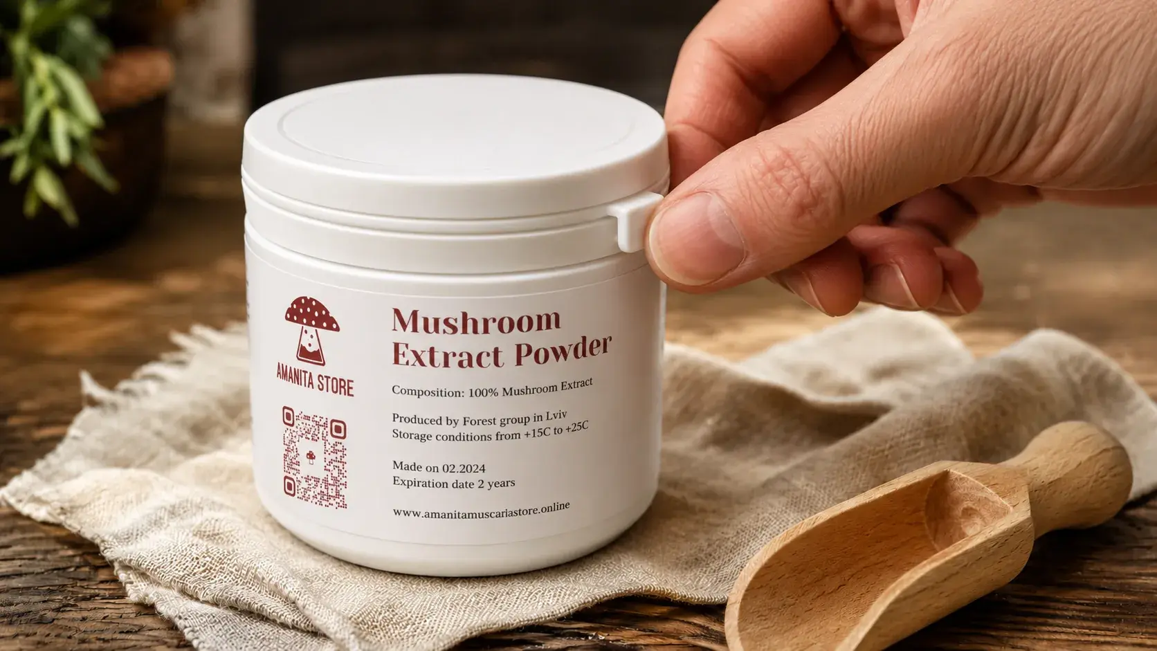 How to Store Mushroom Extracts and Powders article cover