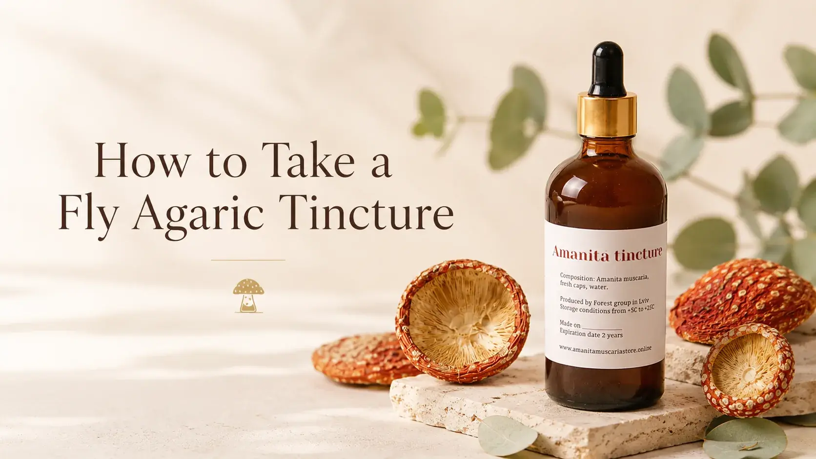How to take a fly agaric tincture article cover