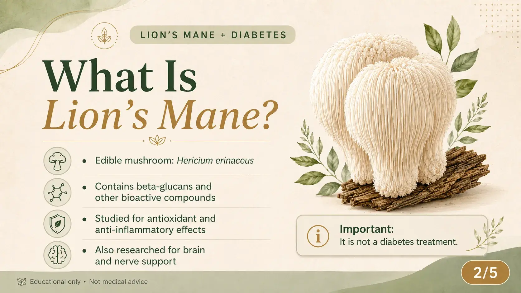 Lion's Mane Mushroom and Diabetes: Blood Sugar Support Guide article cover