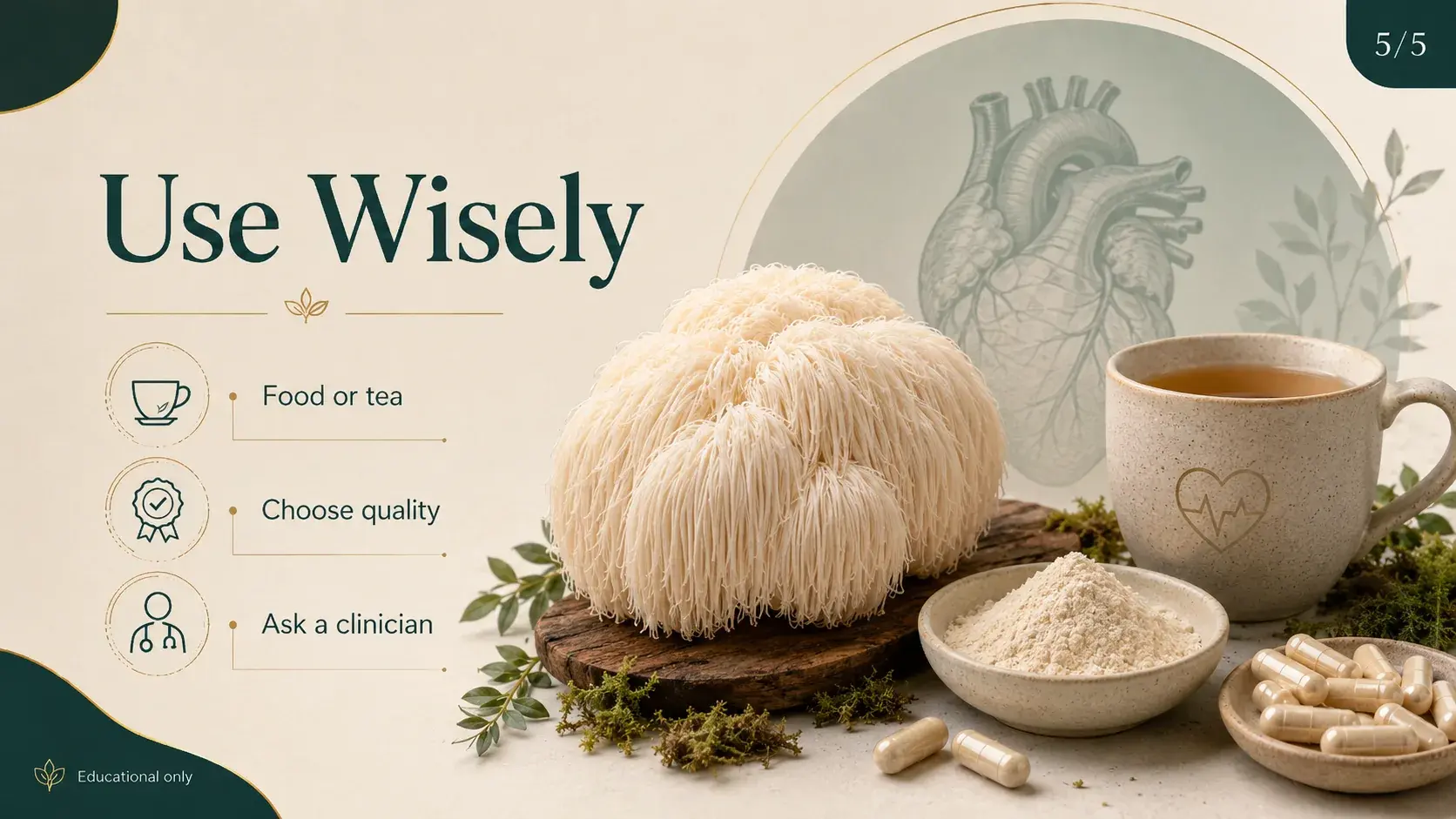 Lion's Mane: Fighting Heart Disease and Cholesterol article cover