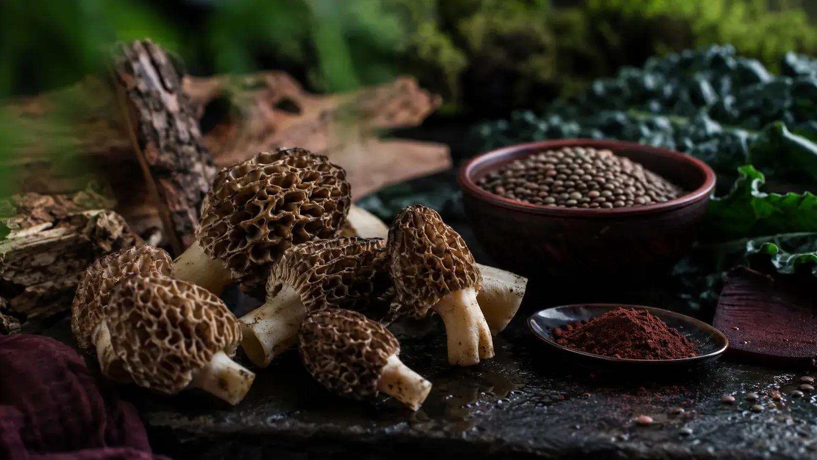 Morel Mushroom Nutritional Profile: Iron, Copper, and Vitamin D article cover