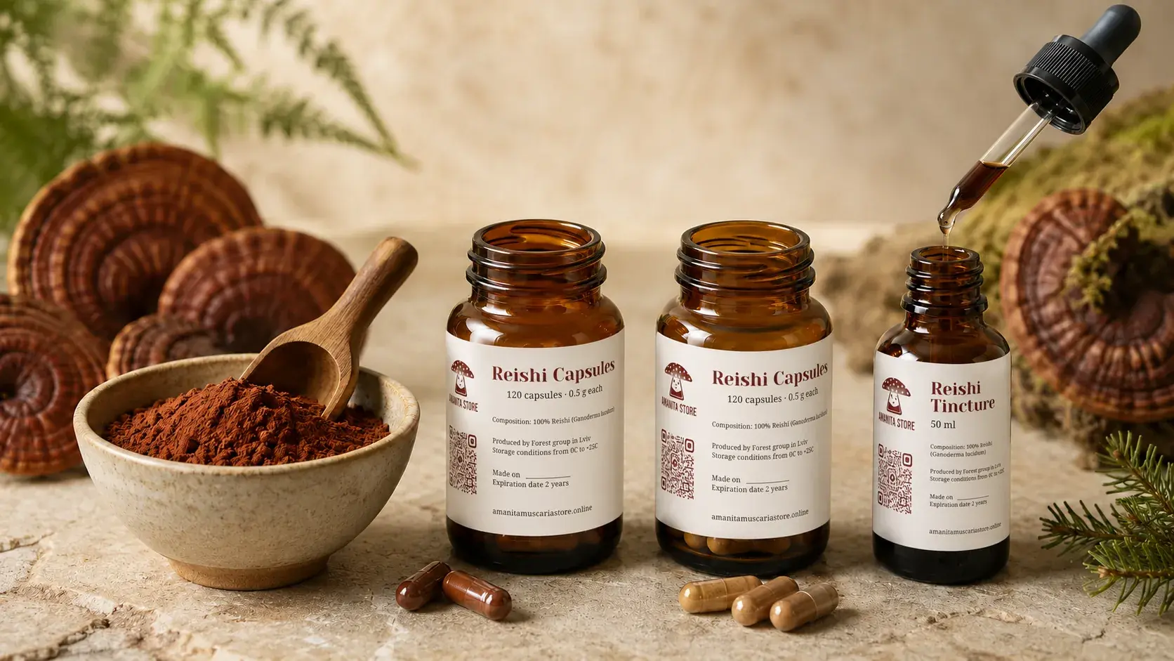 Reishi Powder vs Capsules vs Tincture: Which Format Works? article cover