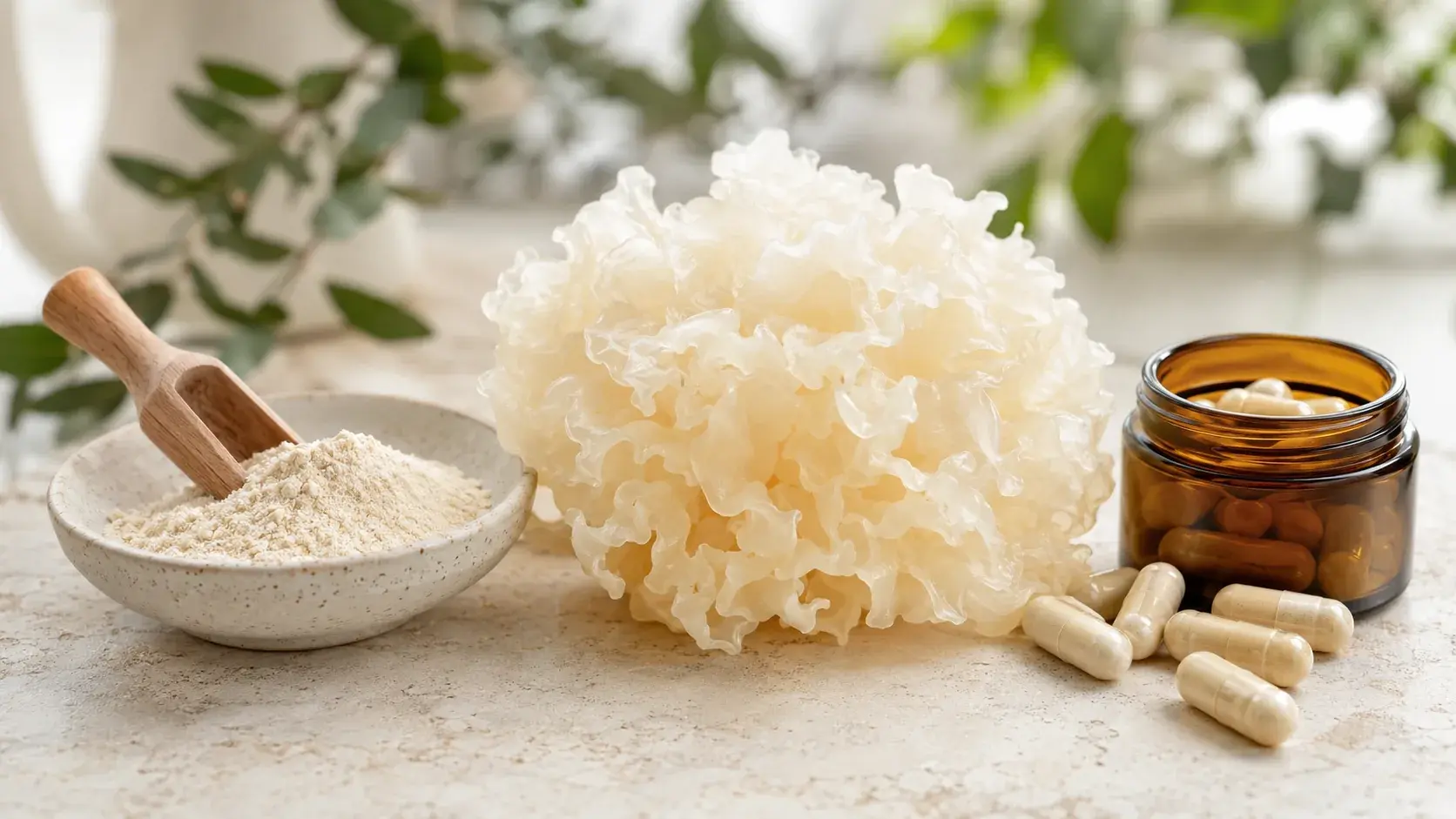 Tremella Powder vs. Capsules: Which Delivers More Polysaccharide? article cover
