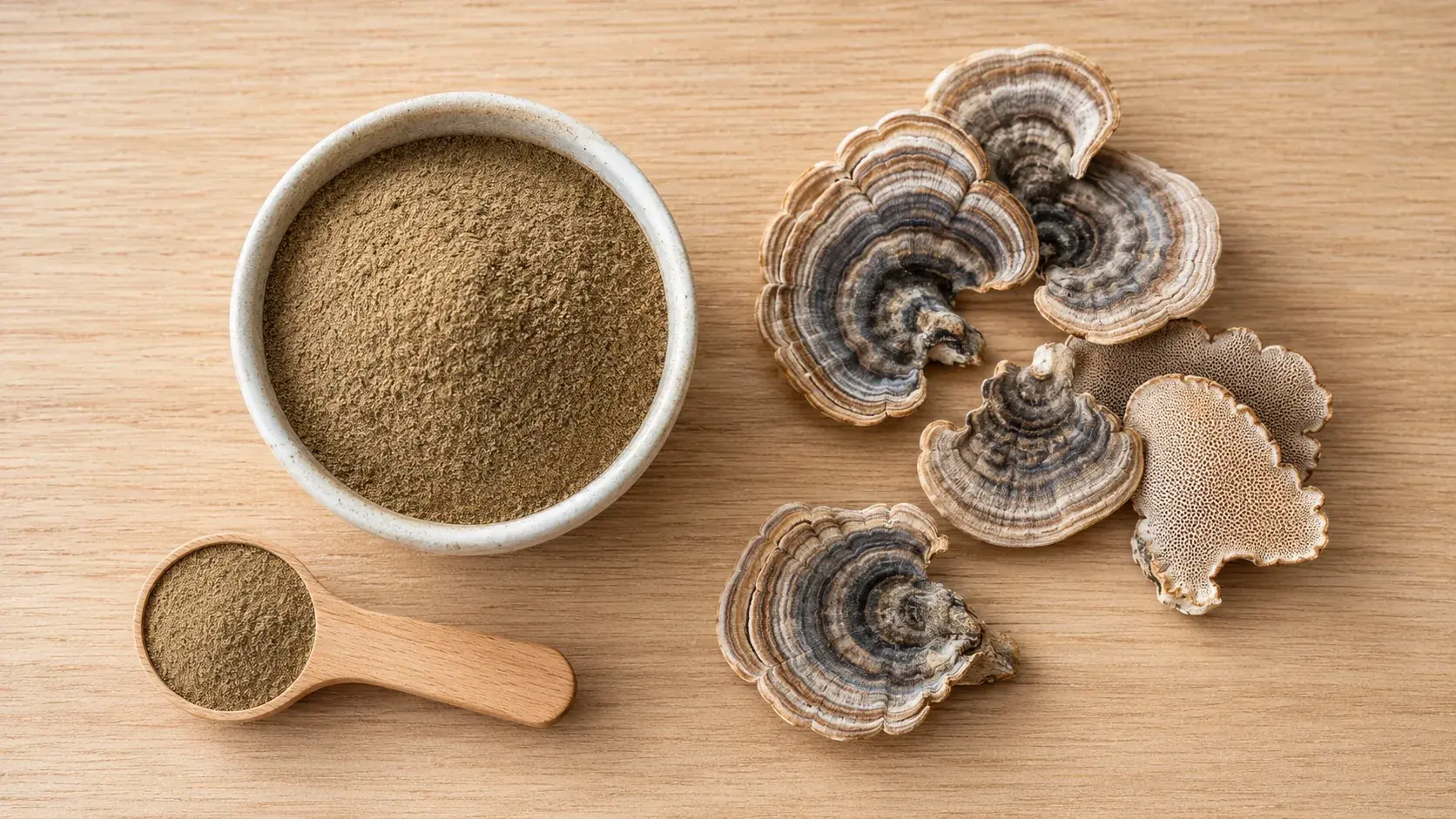 Trametes Versicolor Dosage Guide: How Much Turkey Tail Should You Take? article cover