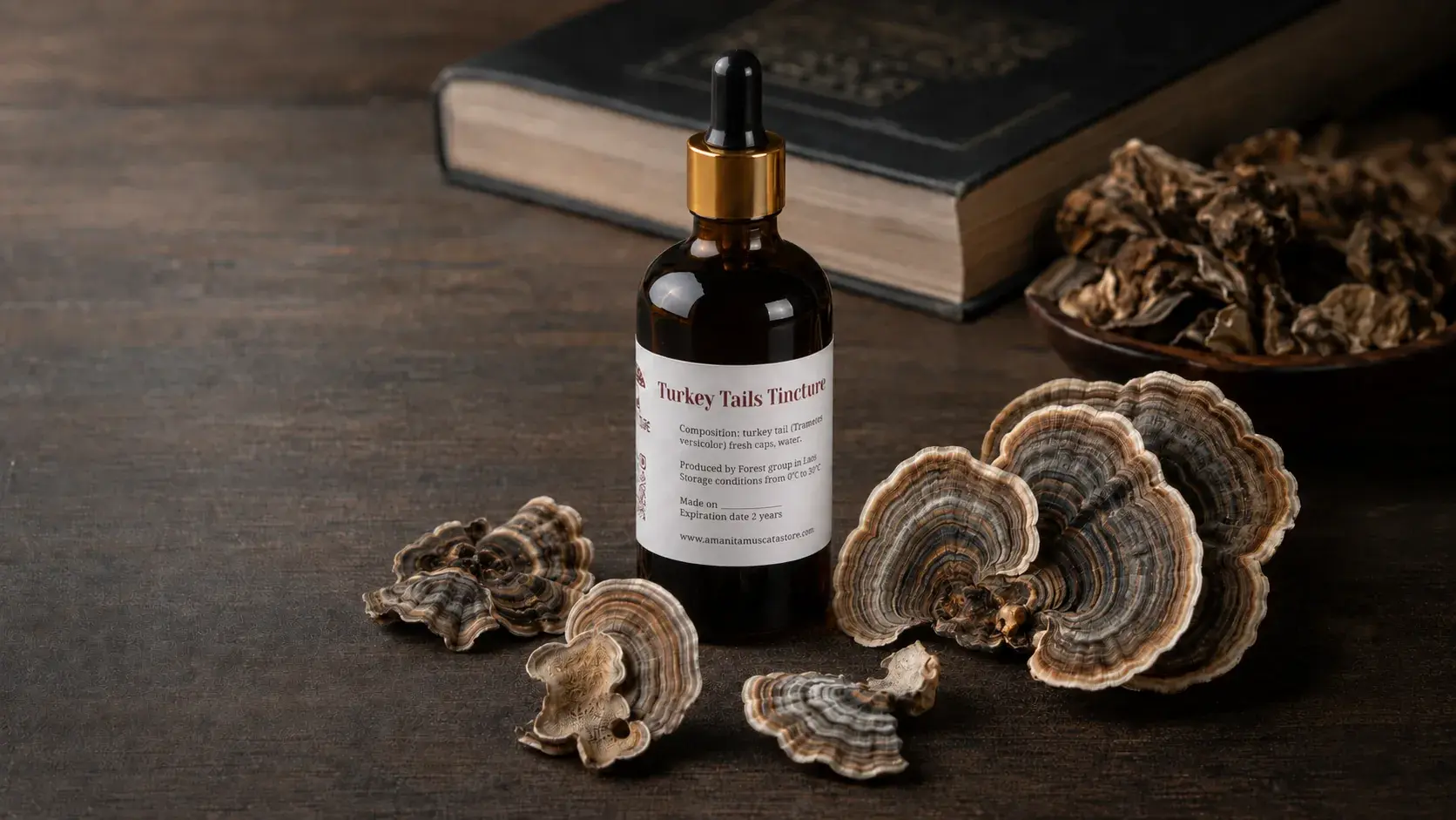 Turkey Tail Side Effects and Interactions: A Borrowed Reputation article cover