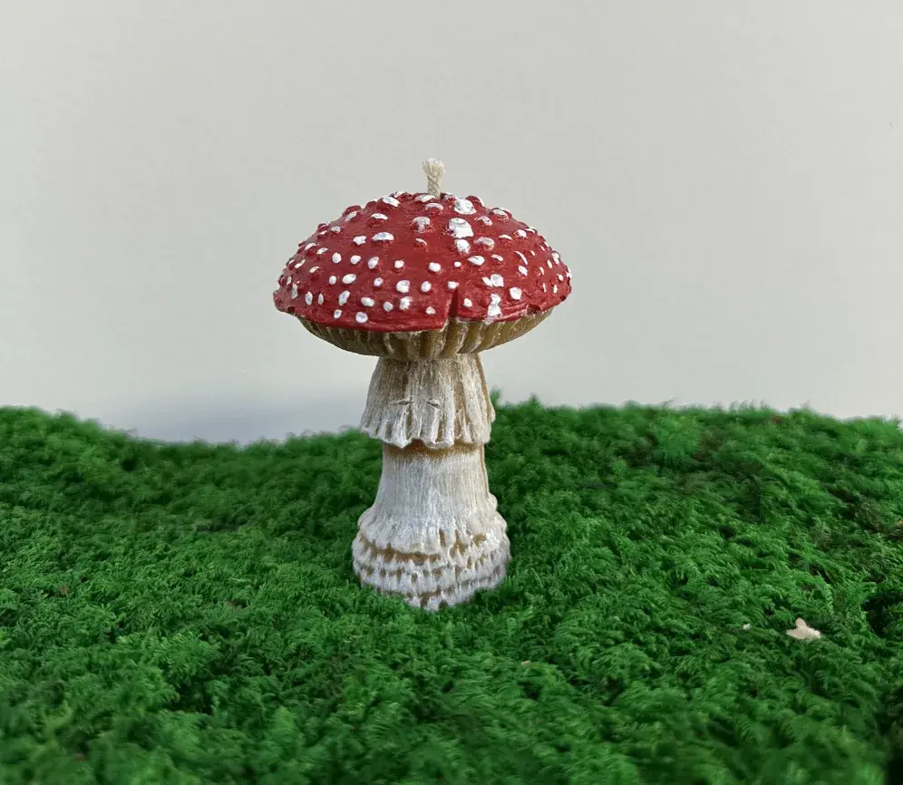 Dried Amanita muscaria aroma candle — 1 candle