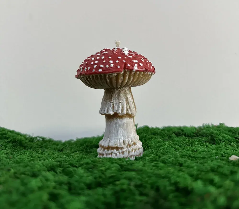 Dried Amanita muscaria aroma candle — 1 candle — photo 2