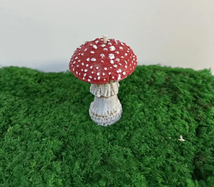 Aroma svíčka s motivem muchomůrky červené — 1 svíčka — 3