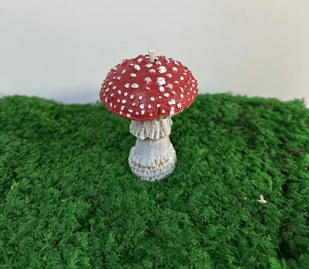 Dried Amanita muscaria aroma candle — 1 candle — photo 3