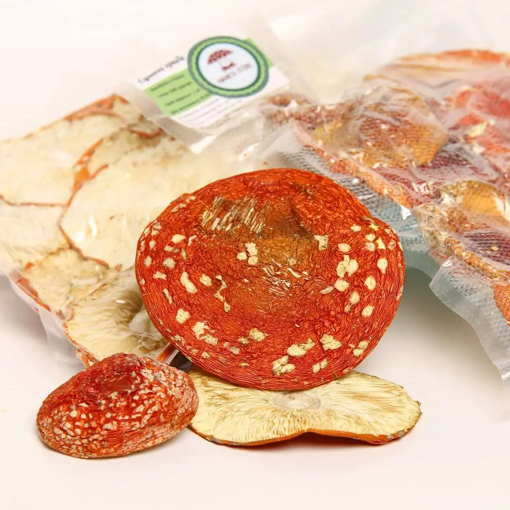 Dried Amanita muscaria grade A — 50g — photo 7