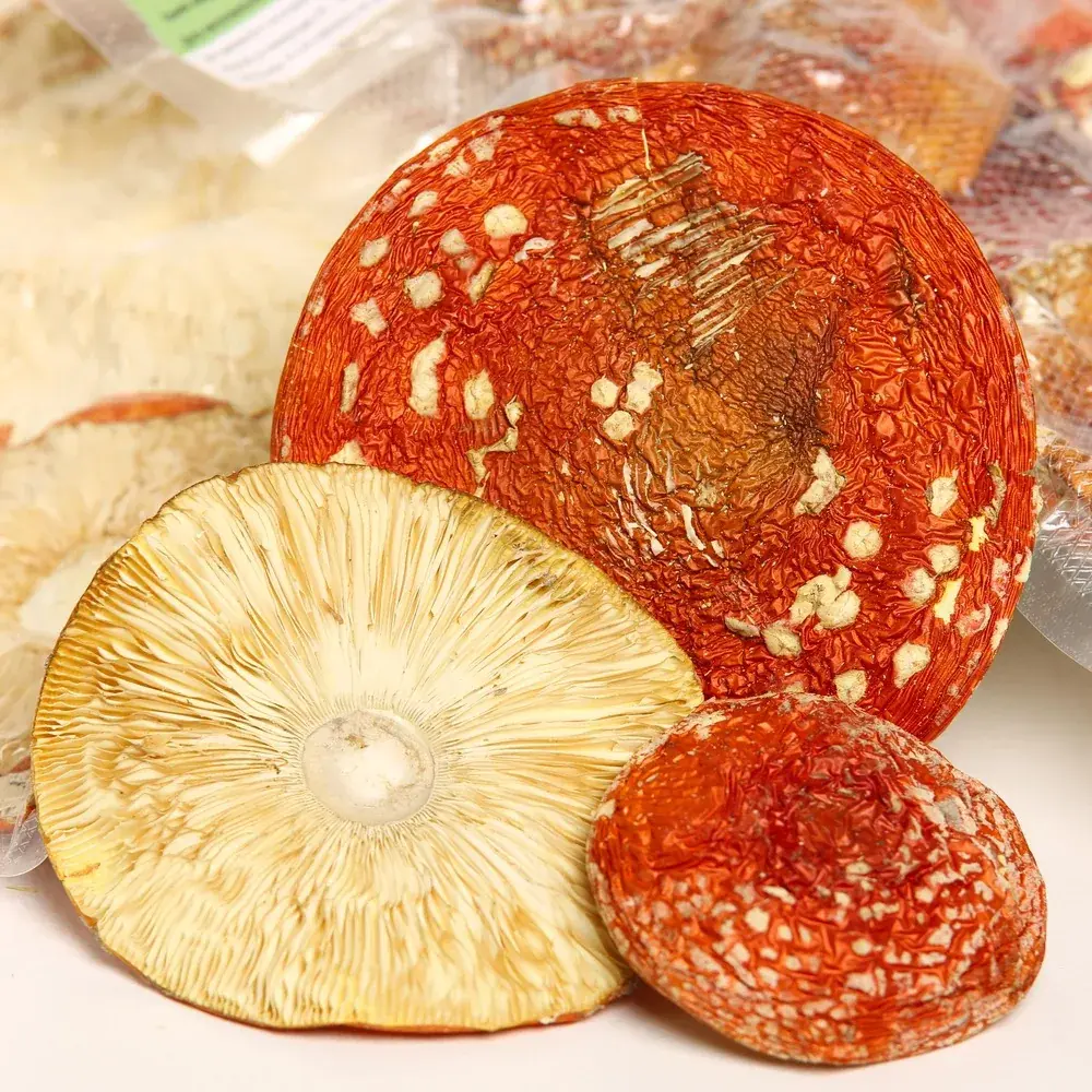 Dried Amanita muscaria grade A — 50g — photo 3