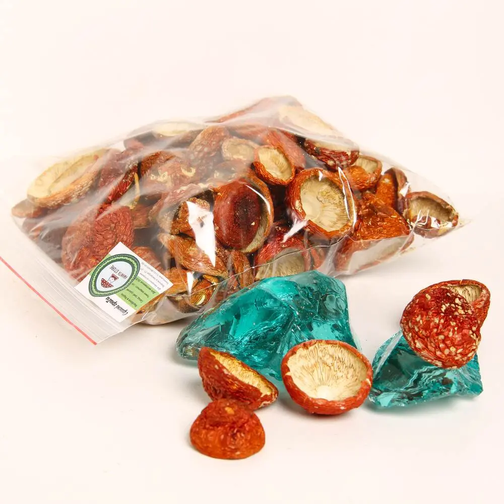 Dried Amanita muscaria premium — 50g — photo 3