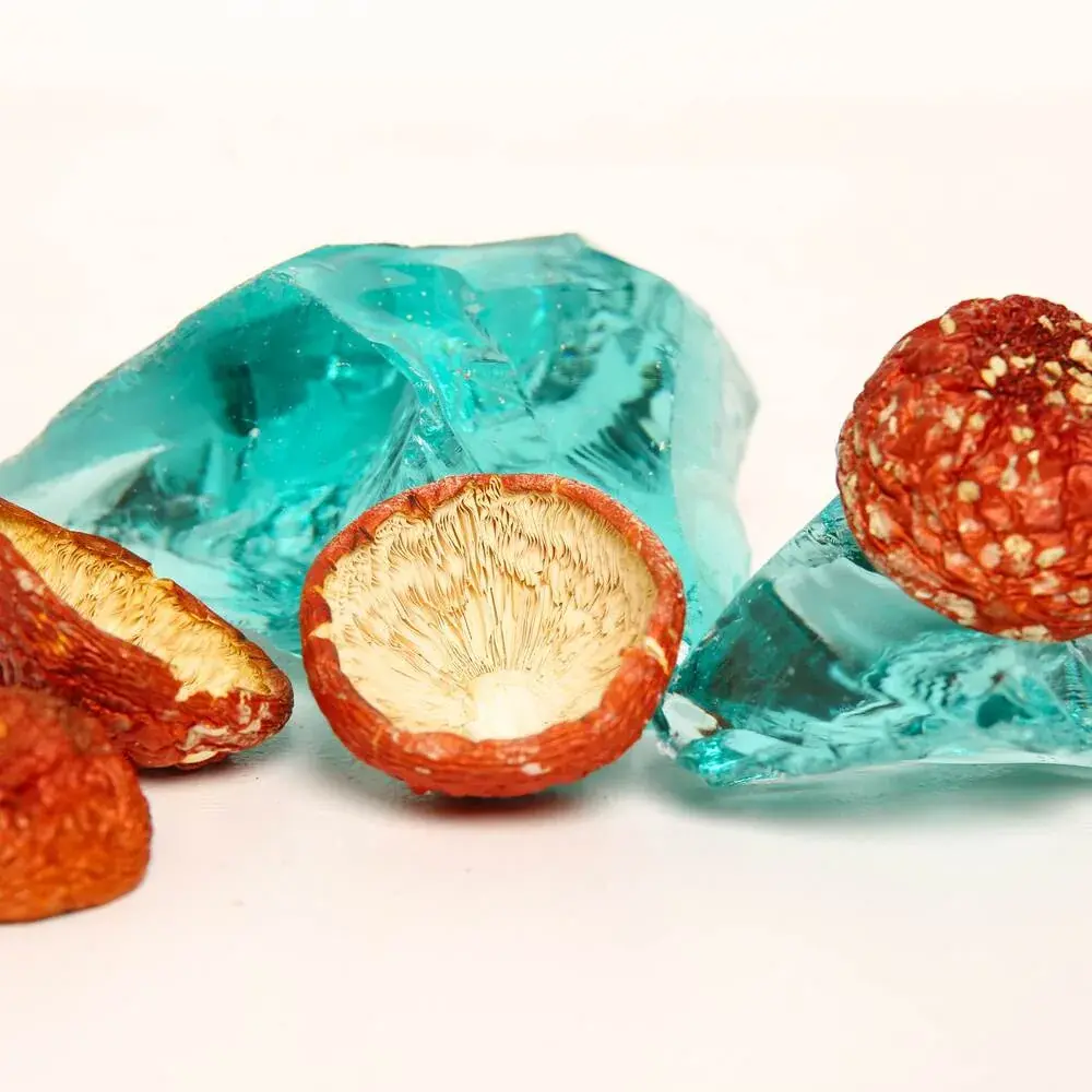 Dried Amanita muscaria premium — 50g — photo 4