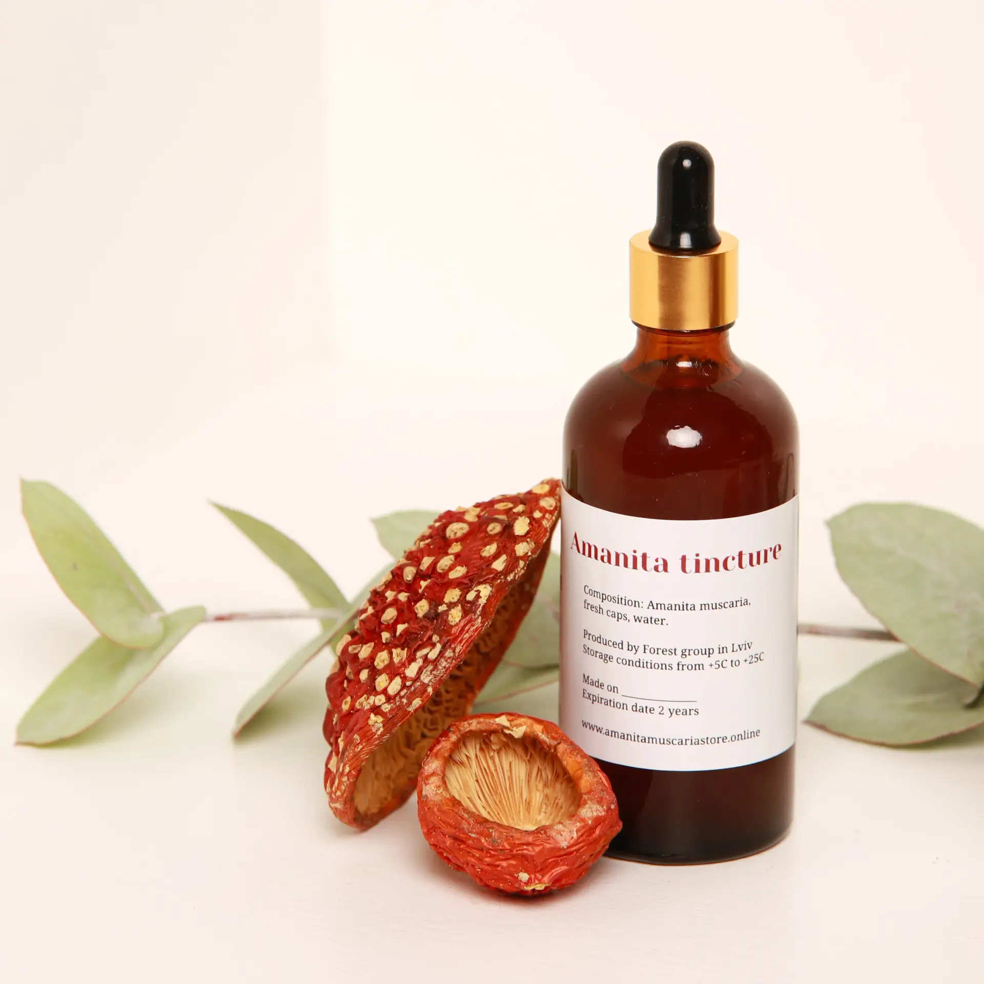 Dried Amanita muscaria tincture — 50ml — photo 6