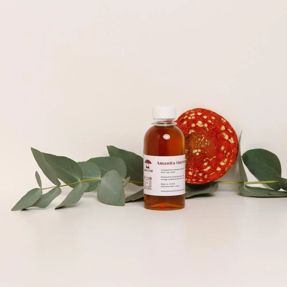 Dried Amanita muscaria Tintura de agárico de mosca — 50ml — photo 4