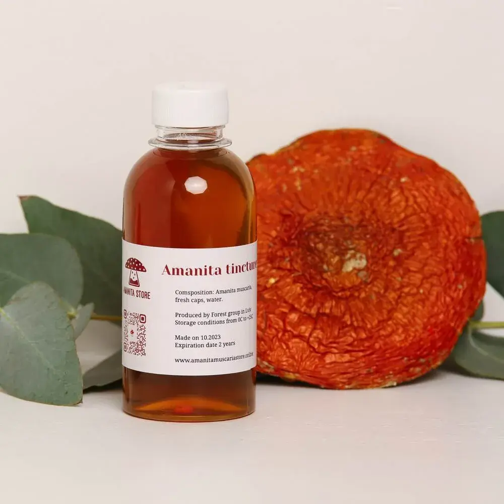 Dried Amanita muscaria tincture — 50ml — photo 5