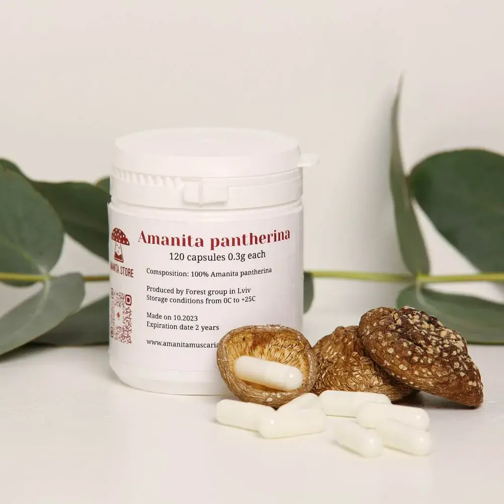 Amanita pantherina capsules — 120 capsules — photo 2