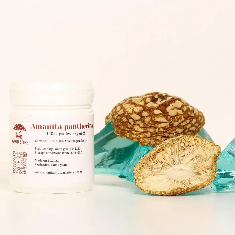 Amanita pantherina capsules — 120 capsules — photo 4