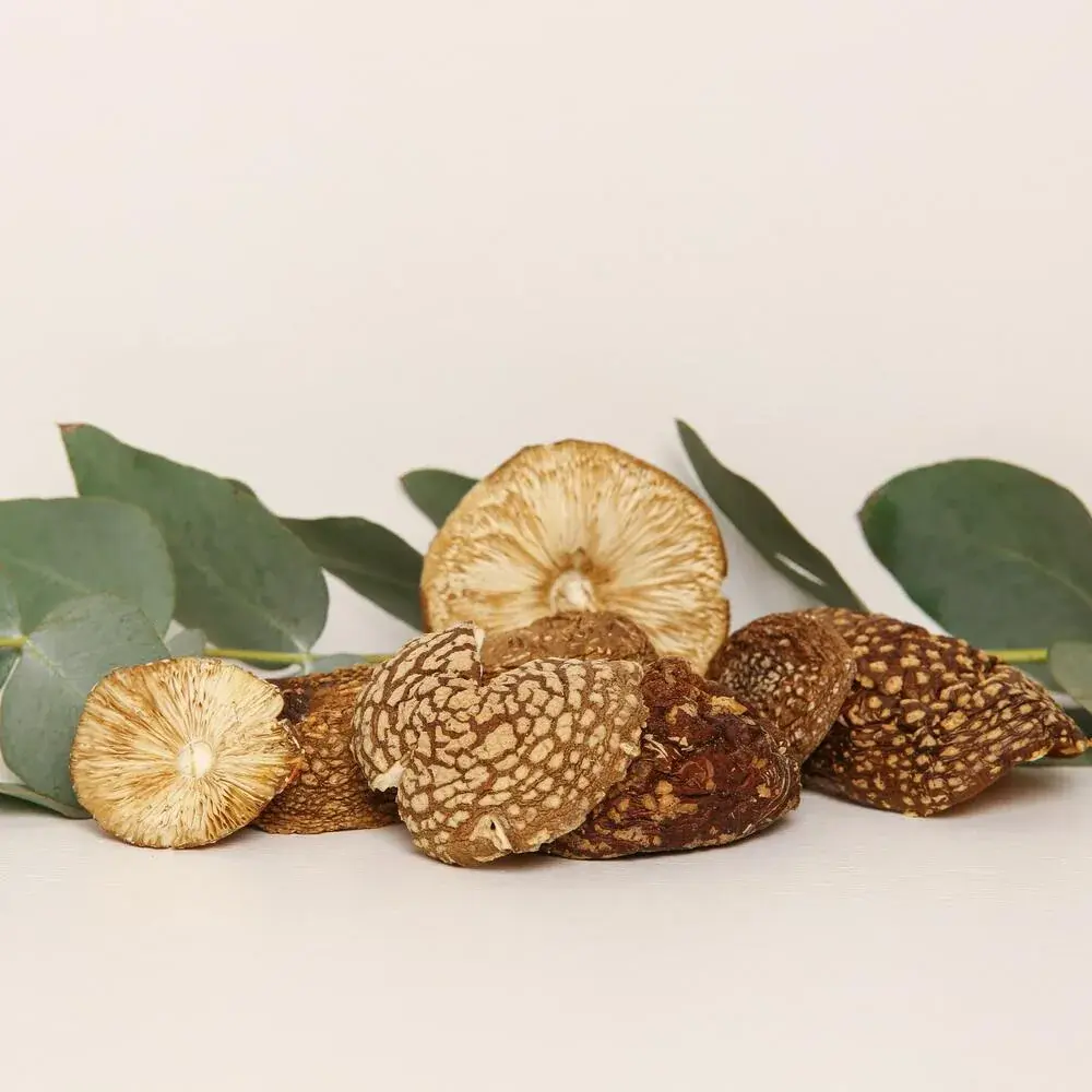 Amanita pantherina — 50g — photo 3