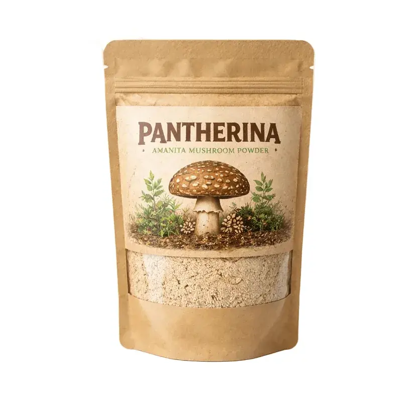 Amanita pantherina powder — 100g