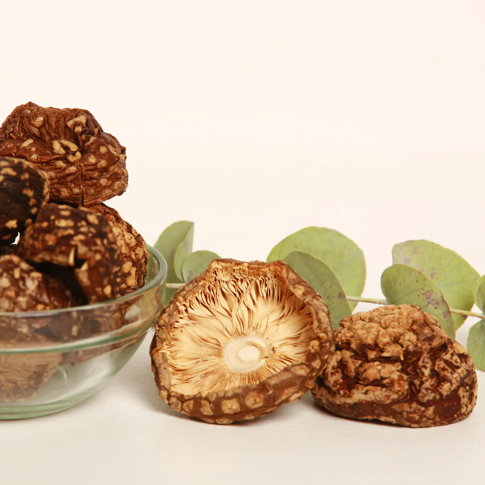 Amanita regalis — 50g — photo 2
