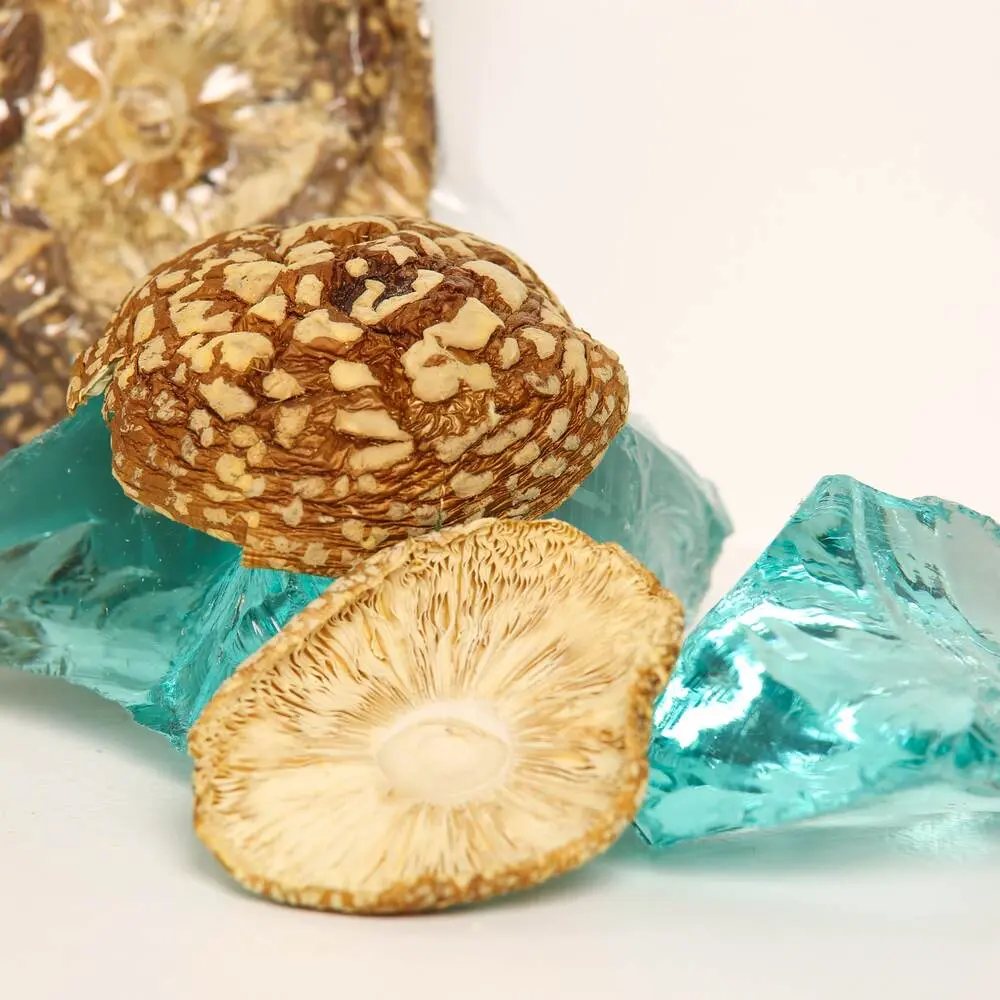 Muchomůrka královská — 50g — photo 7
