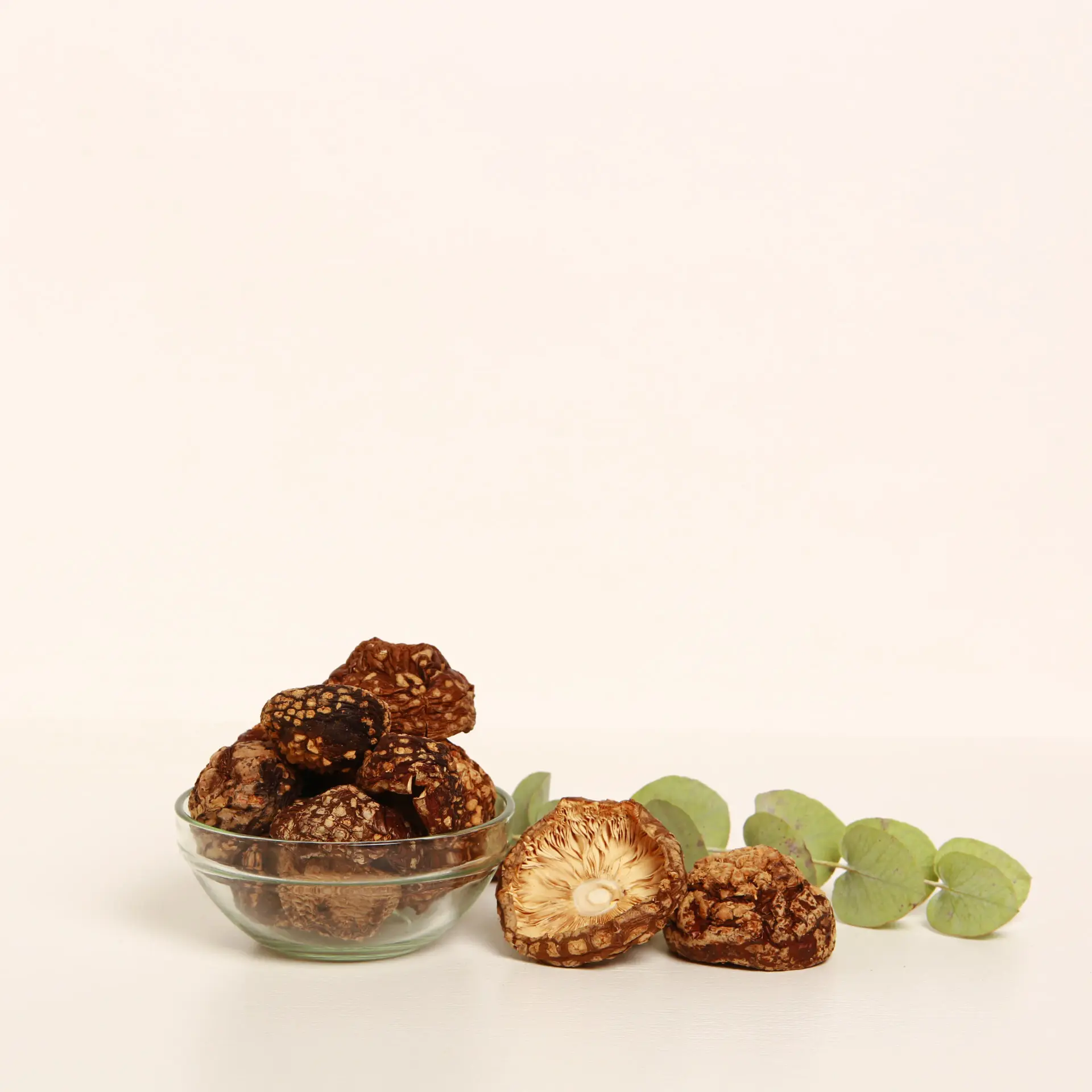Amanita regalis — 50g — photo 3