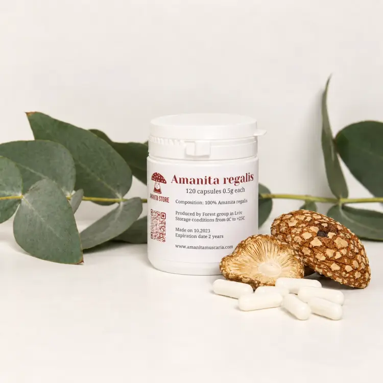 Amanita regalis capsules — 120 capsules