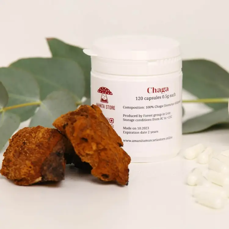Cápsulas de Nariz de carbón (Chaga) – extracto 10:1 — 120 cápsulas — photo 2