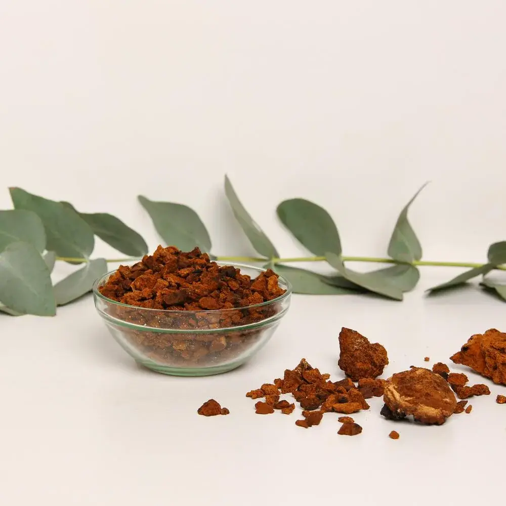 Chaga (Inonotus obliquus) — 100g