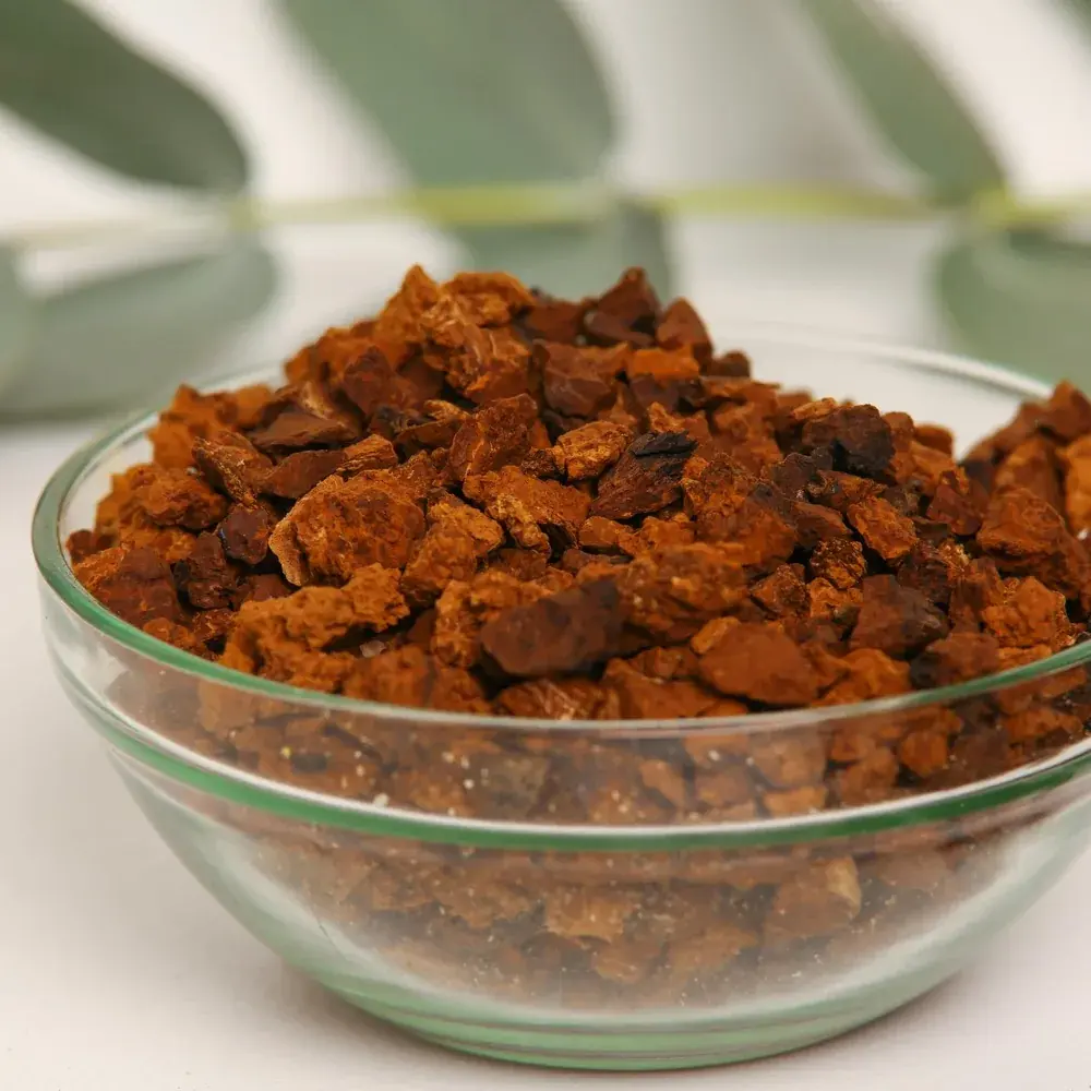 Chaga (Inonotus obliquus) — 100g — photo 2