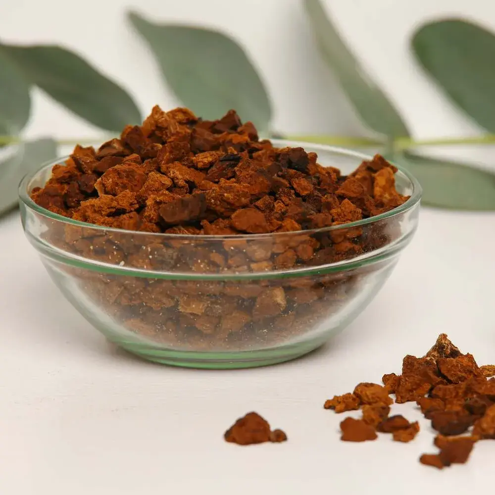 Chaga (Inonotus obliquus) — 100g — photo 3