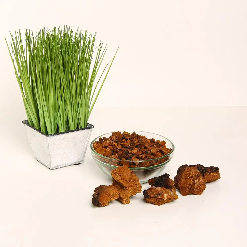 Chaga (Inonotus obliquus) — 100g — photo 4