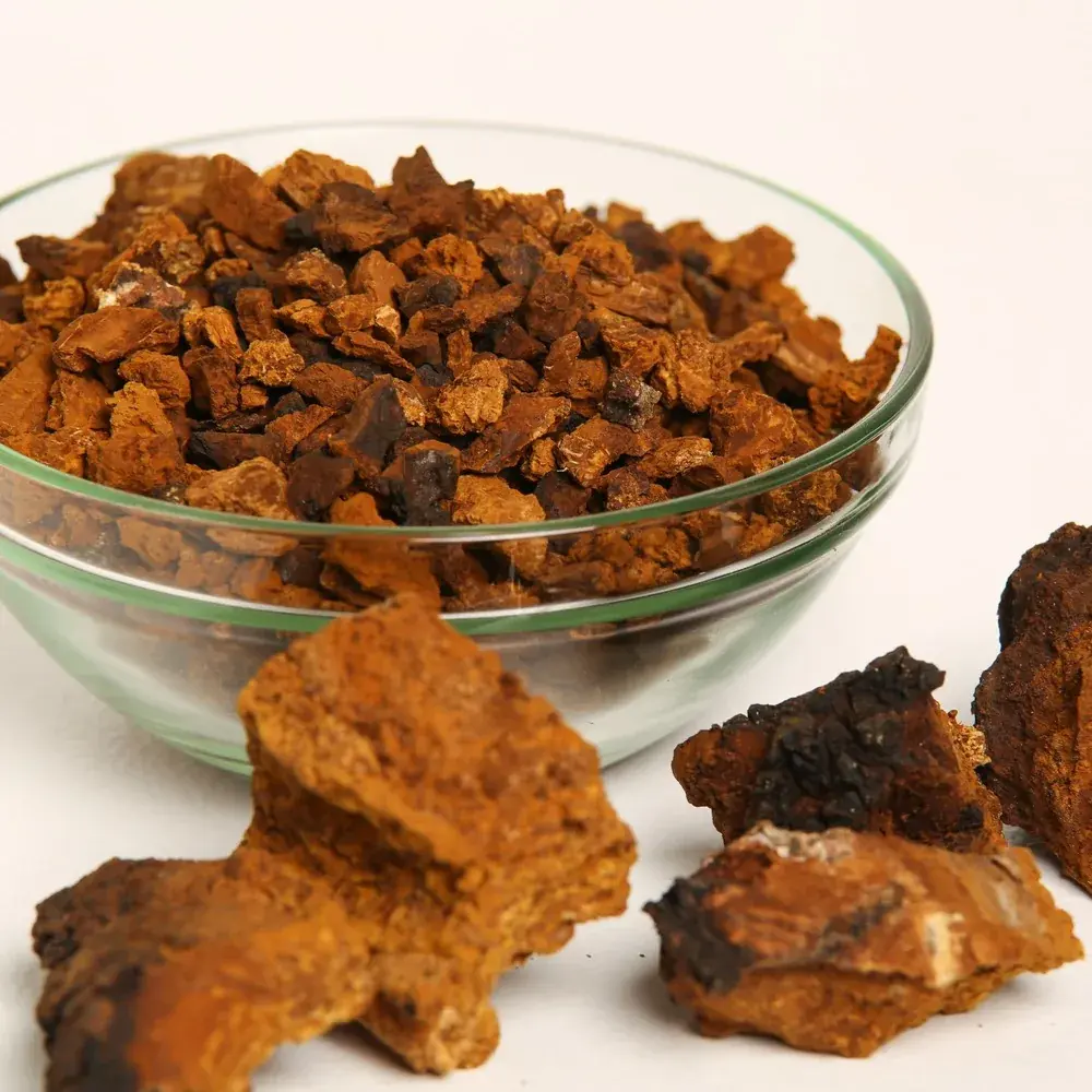Chaga (Inonotus obliquus) — 100g — photo 5