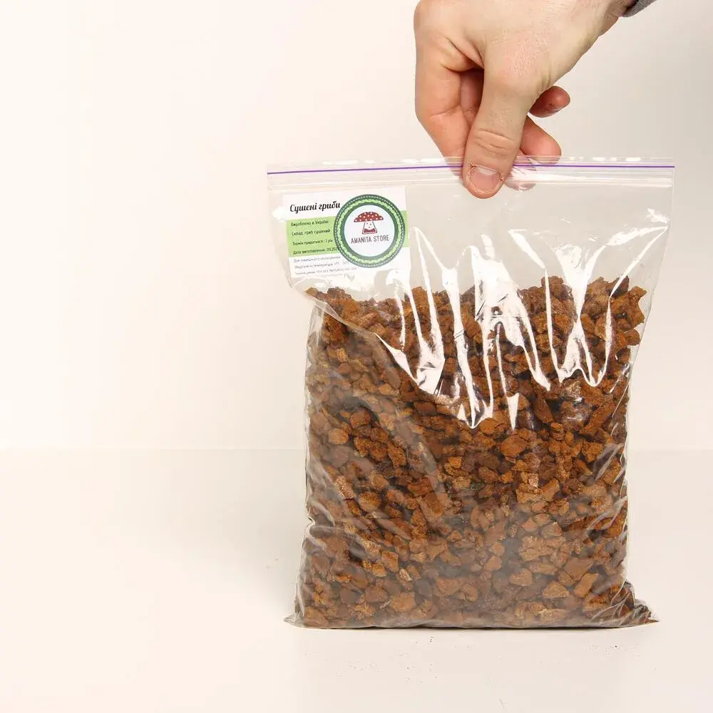 Chaga (Inonotus obliquus) — 100g — photo 6
