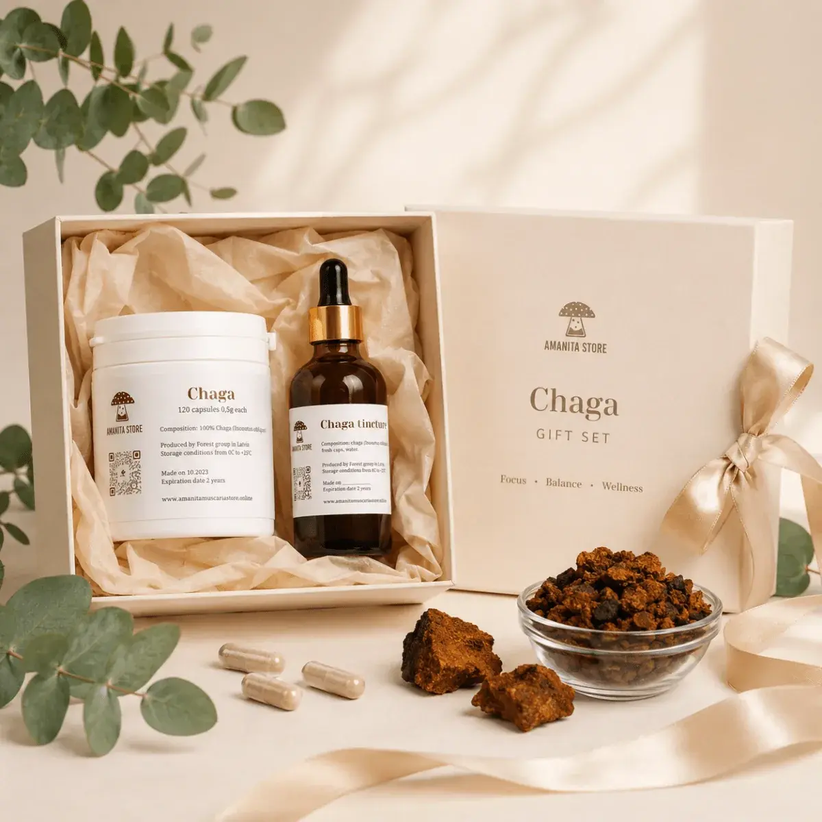 Chaga Mushroom Gift Set — 1 box