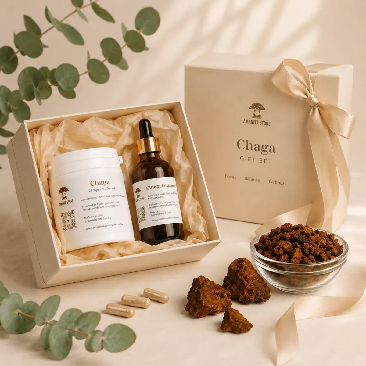 Chaga Mushroom Gift Set — 1 box — photo 3