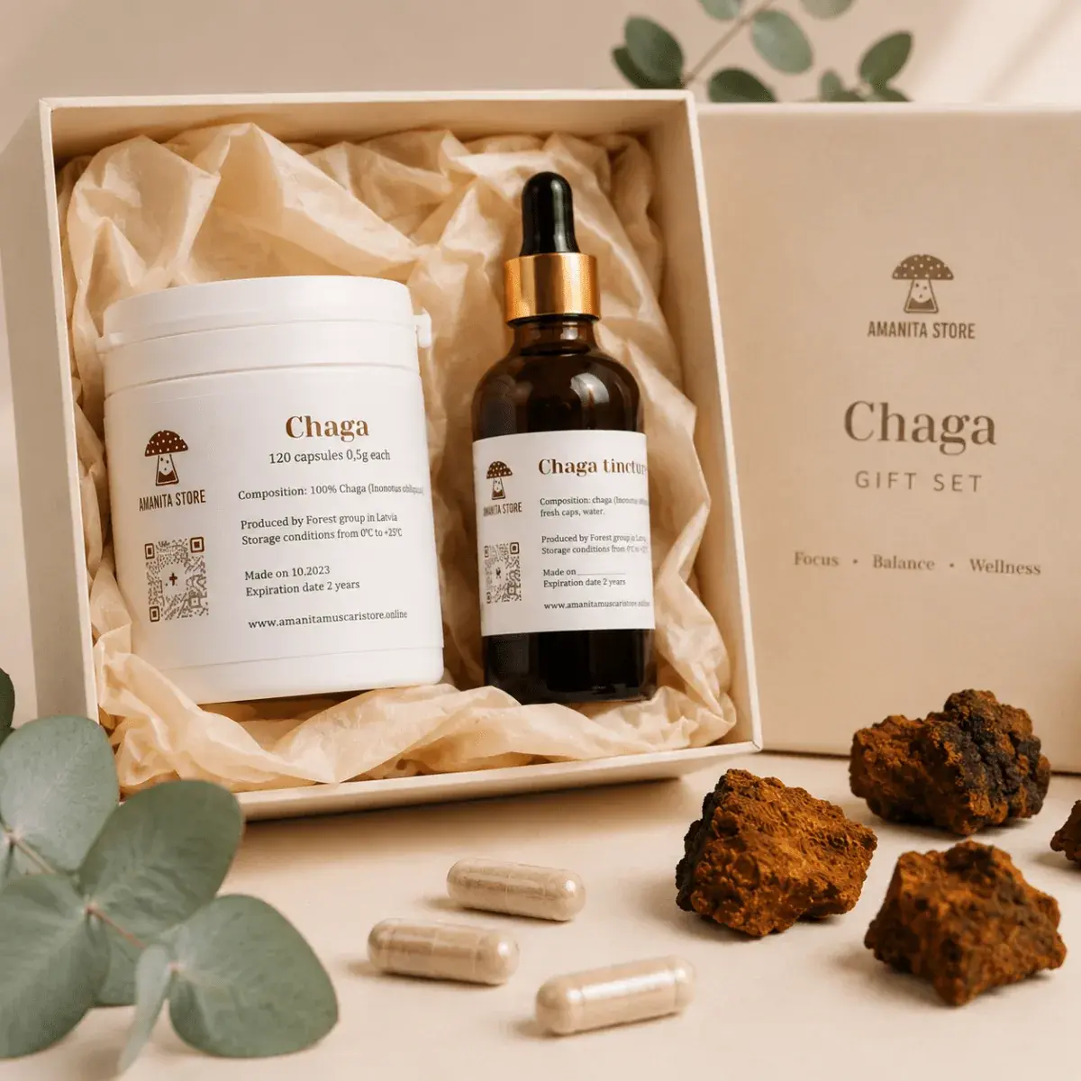 Chaga Mushroom Gift Set — 1 box — photo 4