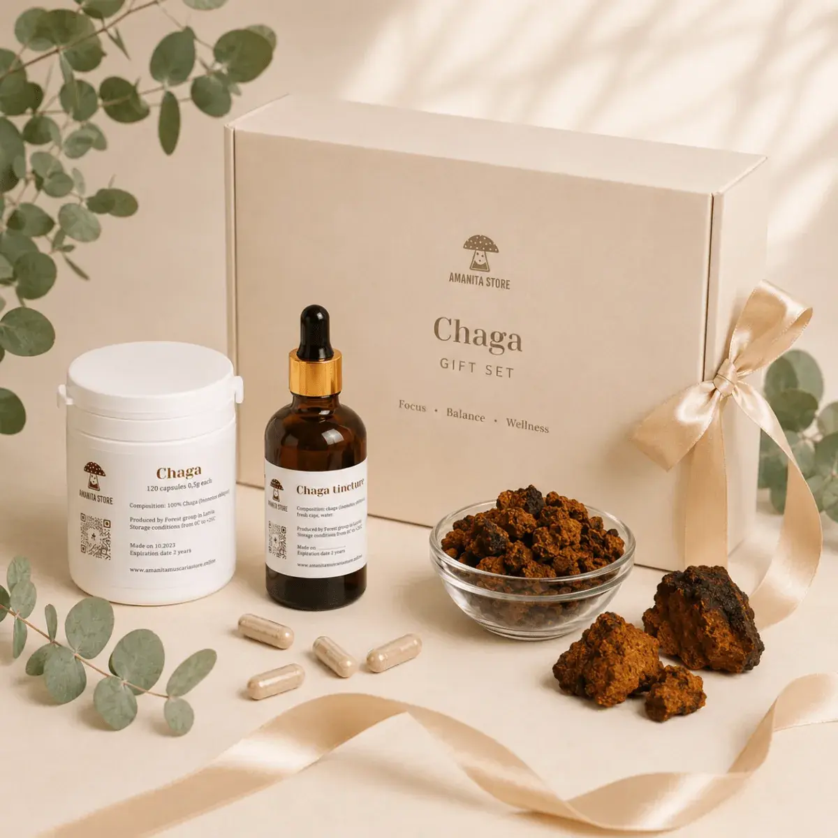 Chaga Mushroom Gift Set — 1 box — photo 5