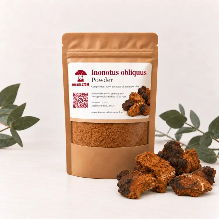 Chaga Powder (Inonotus obliquus) — 100g