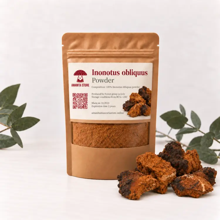 Chaga Powder (Inonotus obliquus) — 100g