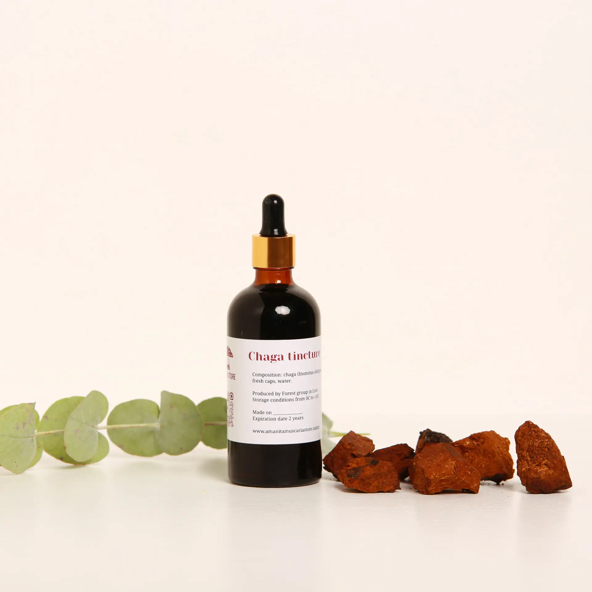 Chaga (Inonotus obliquus) tincture – Double Extraction — 50ml
