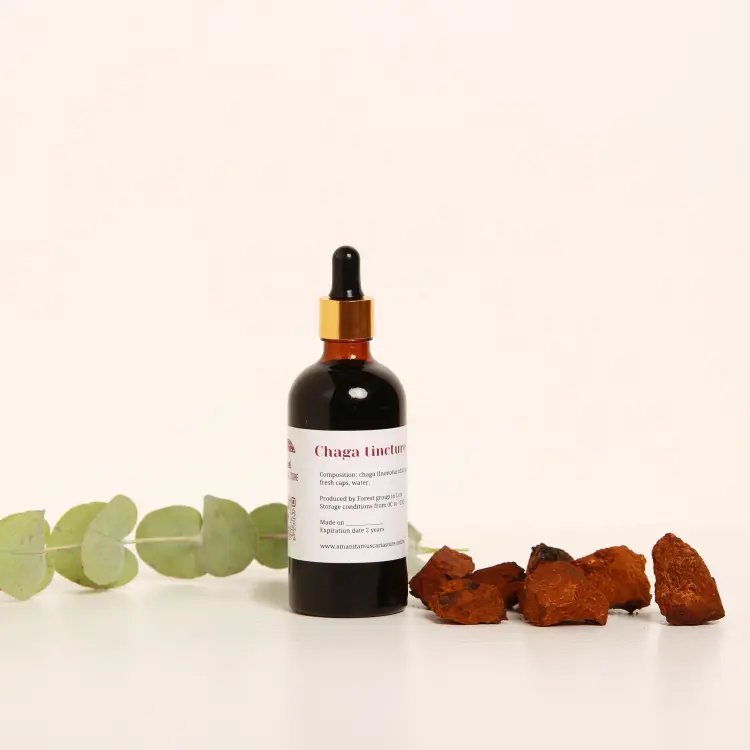 Chaga (Inonotus obliquus) tincture – Double Extraction — 50ml