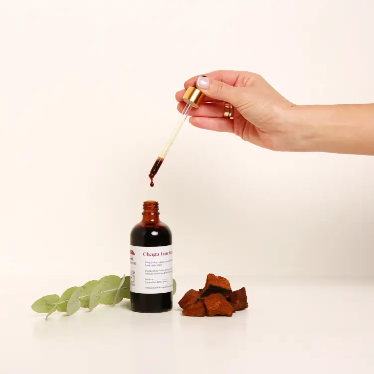 Chaga (Inonotus obliquus) tincture – Double Extraction — 50ml — photo 2